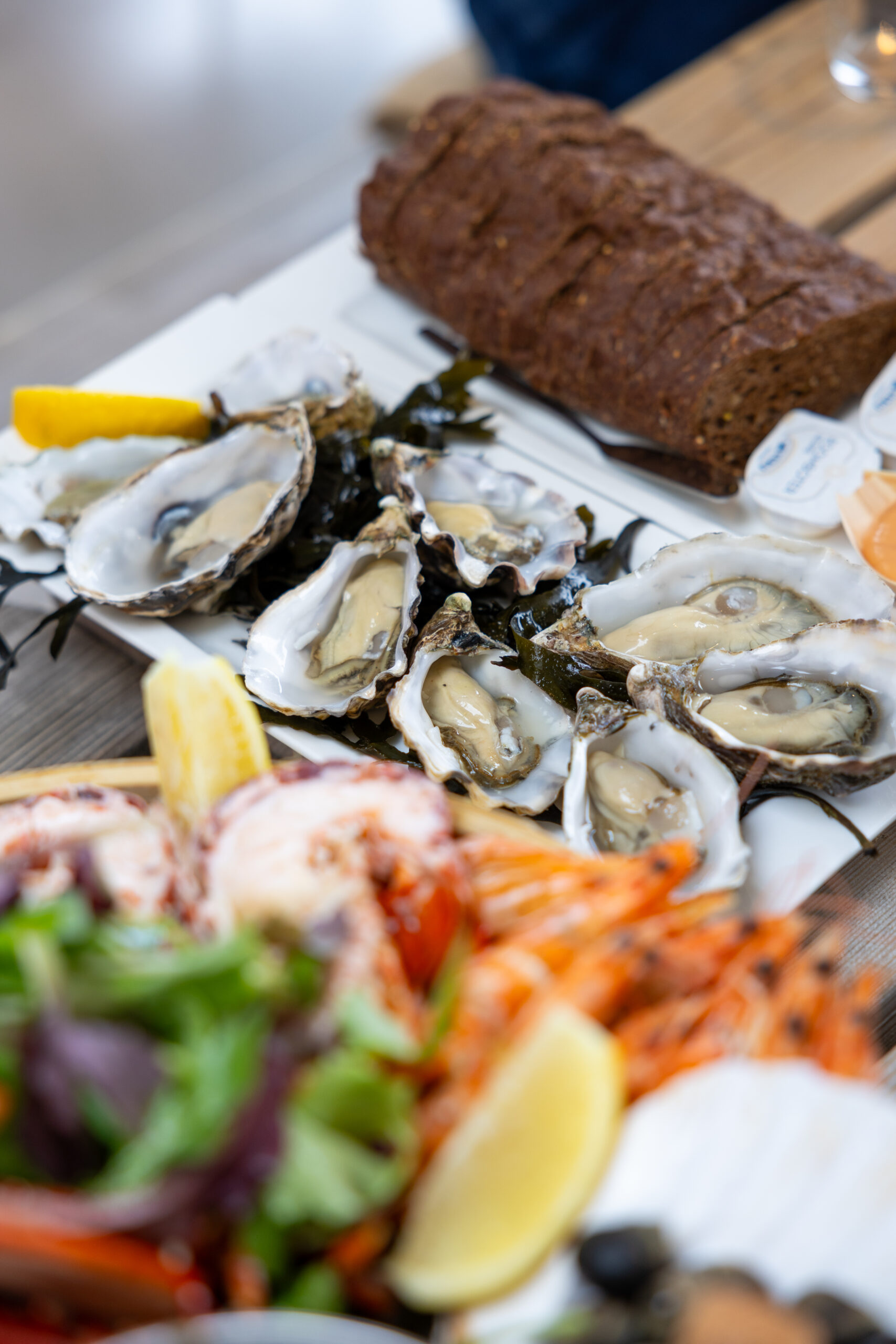 NeverEverBlue_2024-41