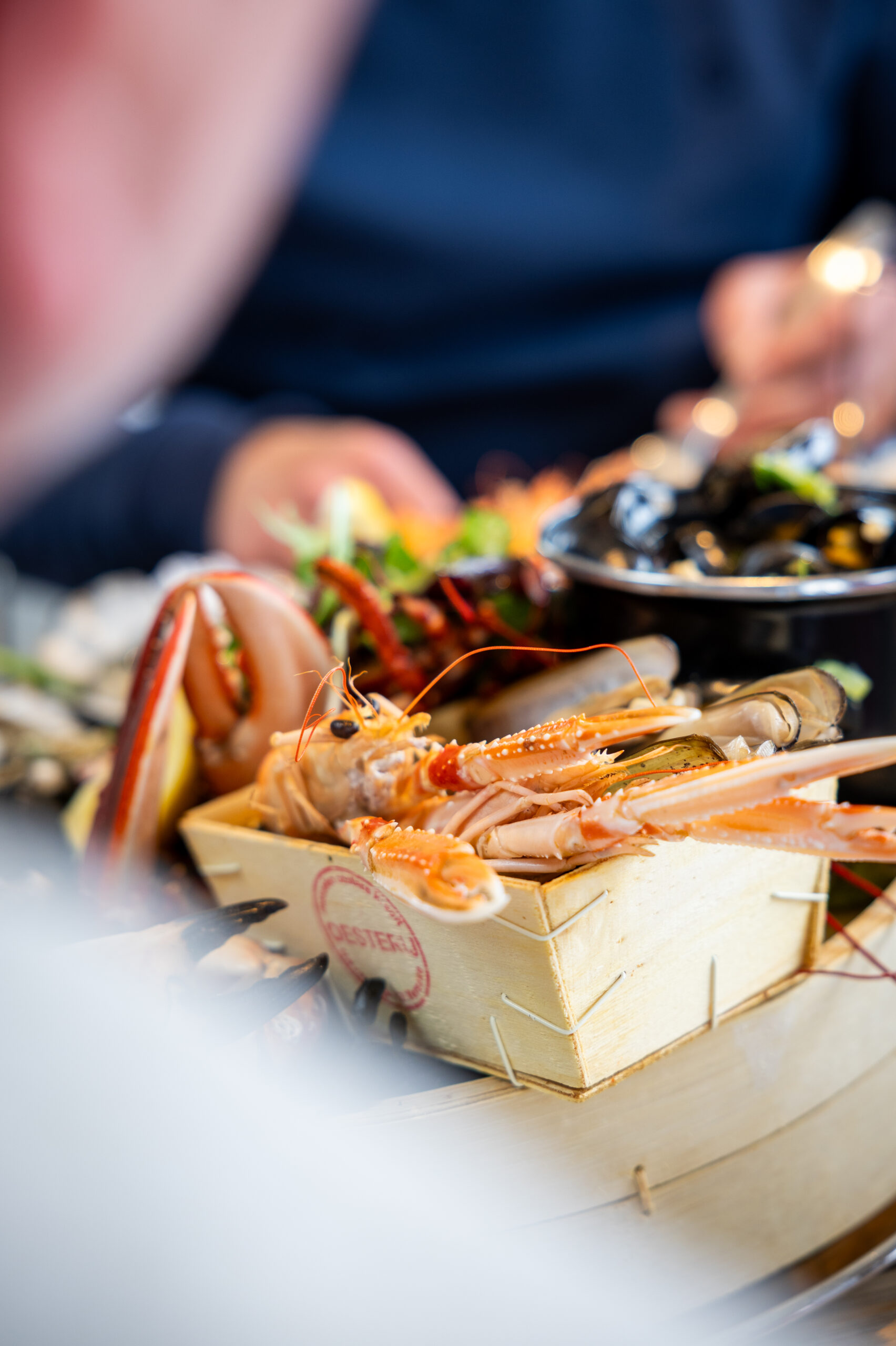 NeverEverBlue_2024-43